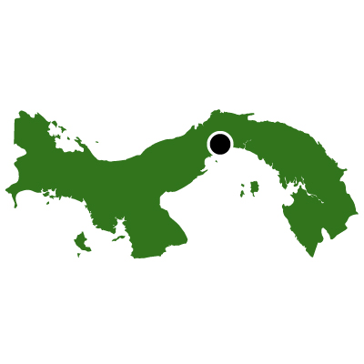 パナマ共和国無料フリーイラスト｜首都(緑)